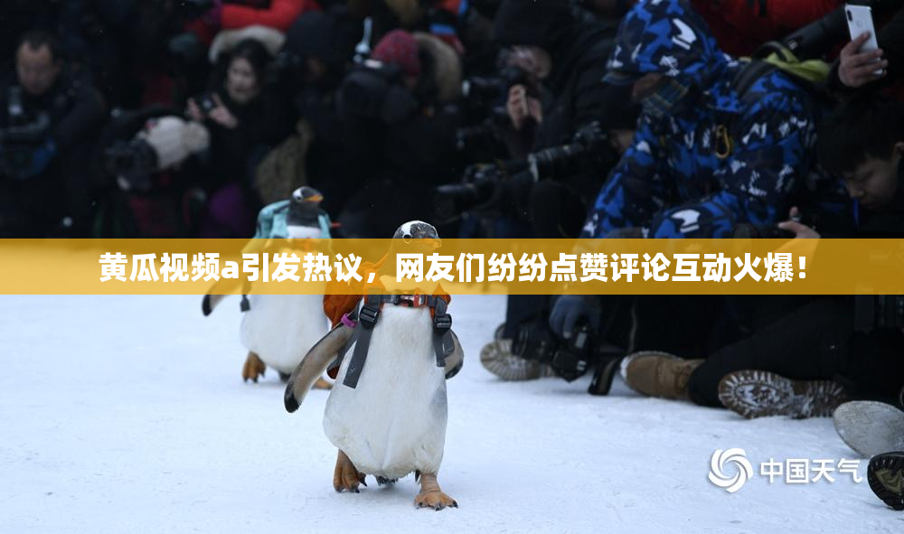黄瓜视频a引发热议，网友们纷纷点赞评论互动火爆！