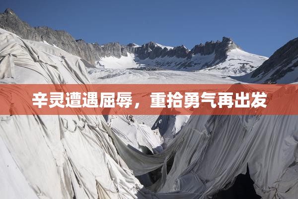 辛灵遭遇屈辱，重拾勇气再出发