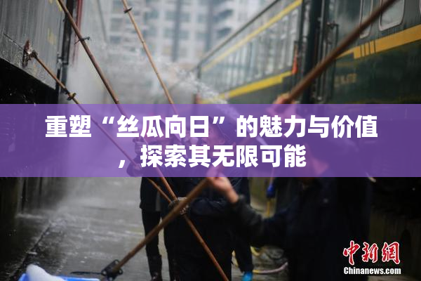 重塑“丝瓜向日”的魅力与价值，探索其无限可能
