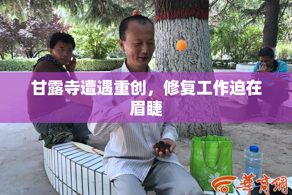 甘露寺遭遇重创，修复工作迫在眉睫