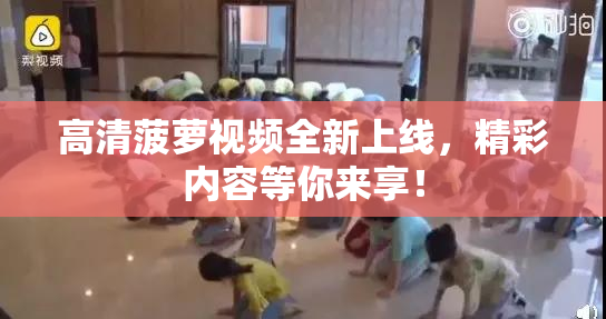 高清菠萝视频全新上线，精彩内容等你来享！