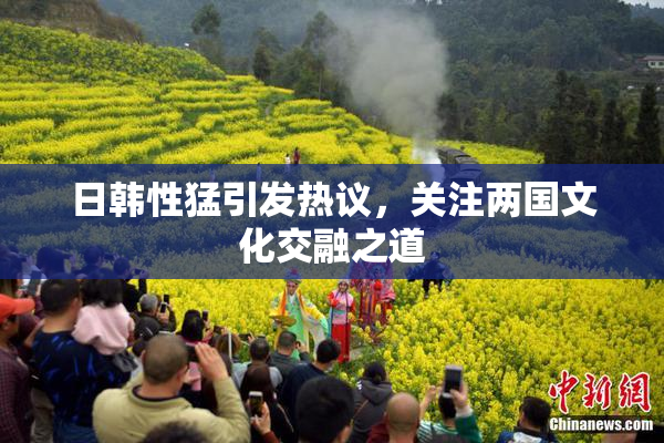 日韩性猛引发热议，关注两国文化交融之道