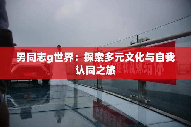 男同志g世界：探索多元文化与自我认同之旅