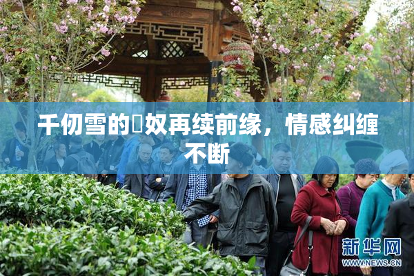 千仞雪的婬奴再续前缘，情感纠缠不断