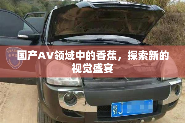 国产AV领域中的香蕉，探索新的视觉盛宴