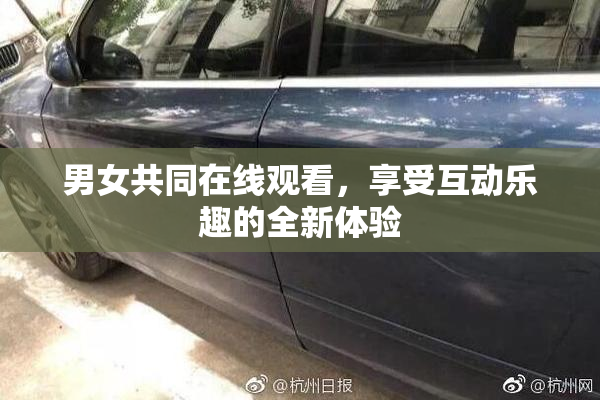 男女共同在线观看，享受互动乐趣的全新体验