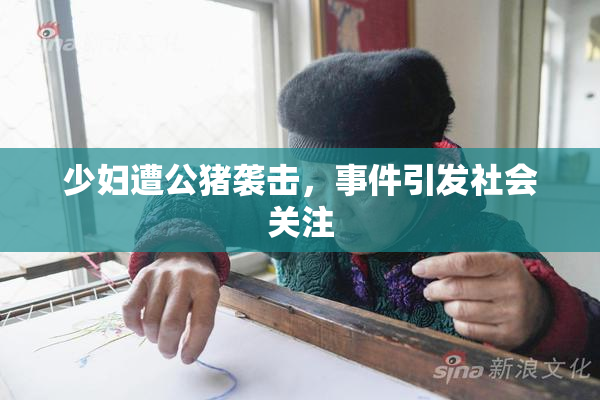 少妇遭公猪袭击，事件引发社会关注