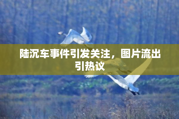 陆沉车事件引发关注，图片流出引热议