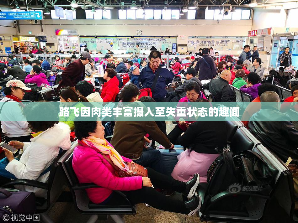 路飞因肉类丰富摄入至失重状态的趣闻
