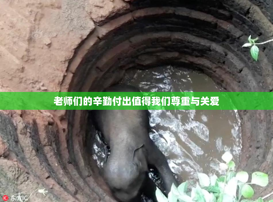 老师们的辛勤付出值得我们尊重与关爱