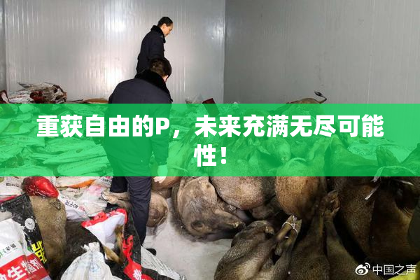 重获自由的P，未来充满无尽可能性！