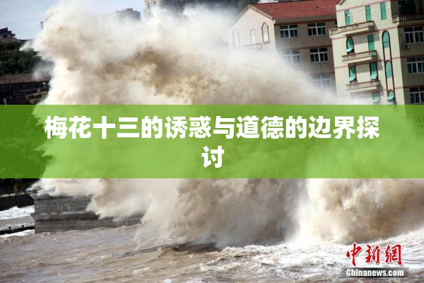 梅花十三的诱惑与道德的边界探讨