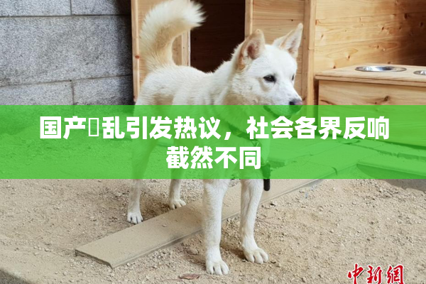 国产婬乱引发热议，社会各界反响截然不同