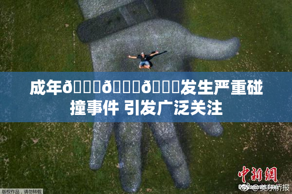 成年🍆🍑🔞发生严重碰撞事件 引发广泛关注