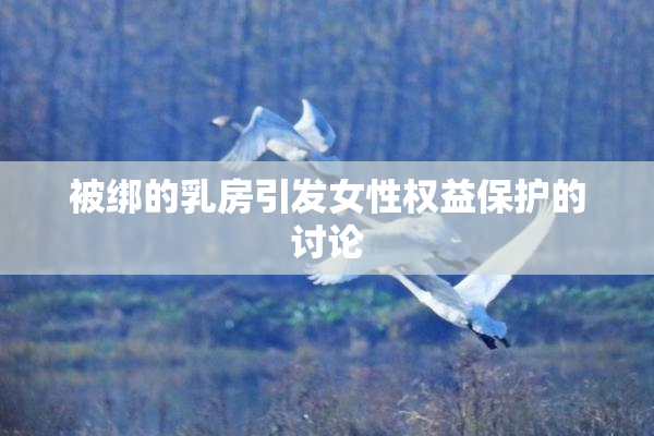 被绑的乳房引发女性权益保护的讨论