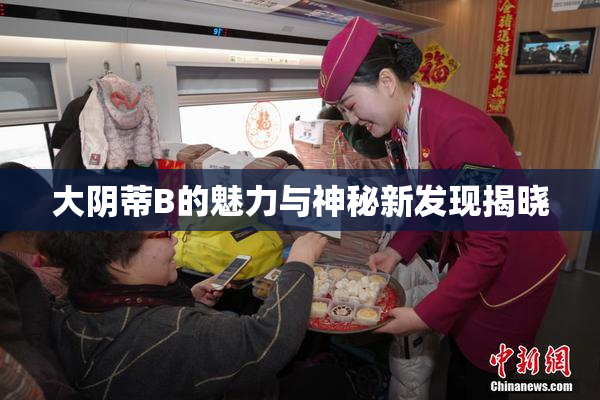 大阴蒂B的魅力与神秘新发现揭晓