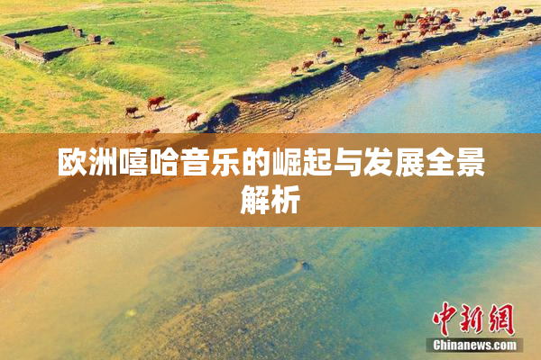 欧洲嘻哈音乐的崛起与发展全景解析