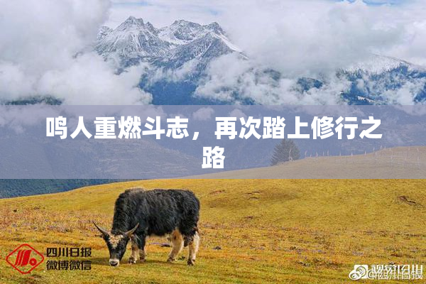 鸣人重燃斗志，再次踏上修行之路