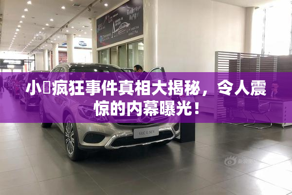 小泬疯狂事件真相大揭秘，令人震惊的内幕曝光！