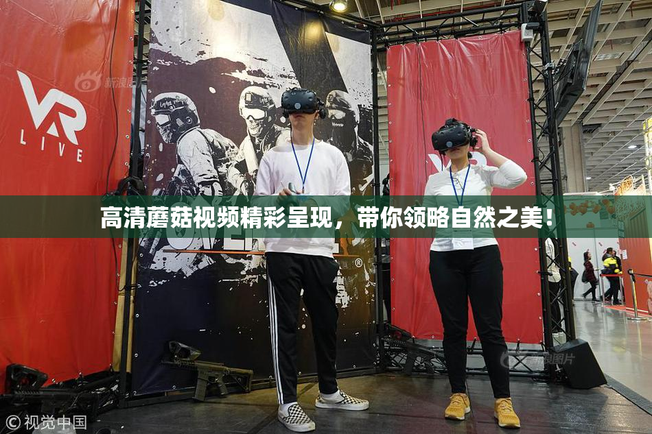 高清蘑菇视频精彩呈现，带你领略自然之美！
