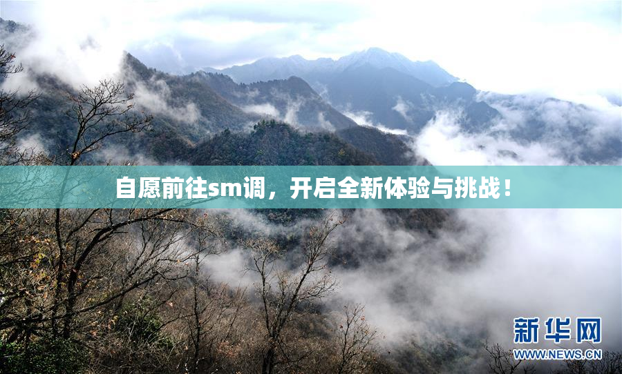 自愿前往sm调，开启全新体验与挑战！