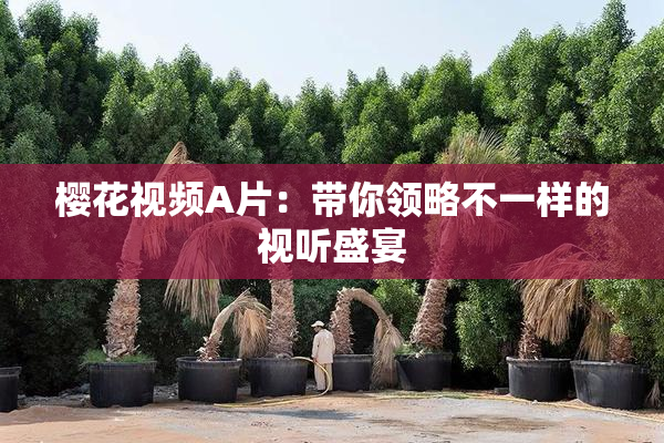 樱花视频A片：带你领略不一样的视听盛宴
