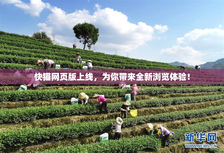 快猫网页版上线，为你带来全新浏览体验！