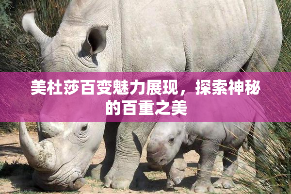 美杜莎百变魅力展现，探索神秘的百重之美