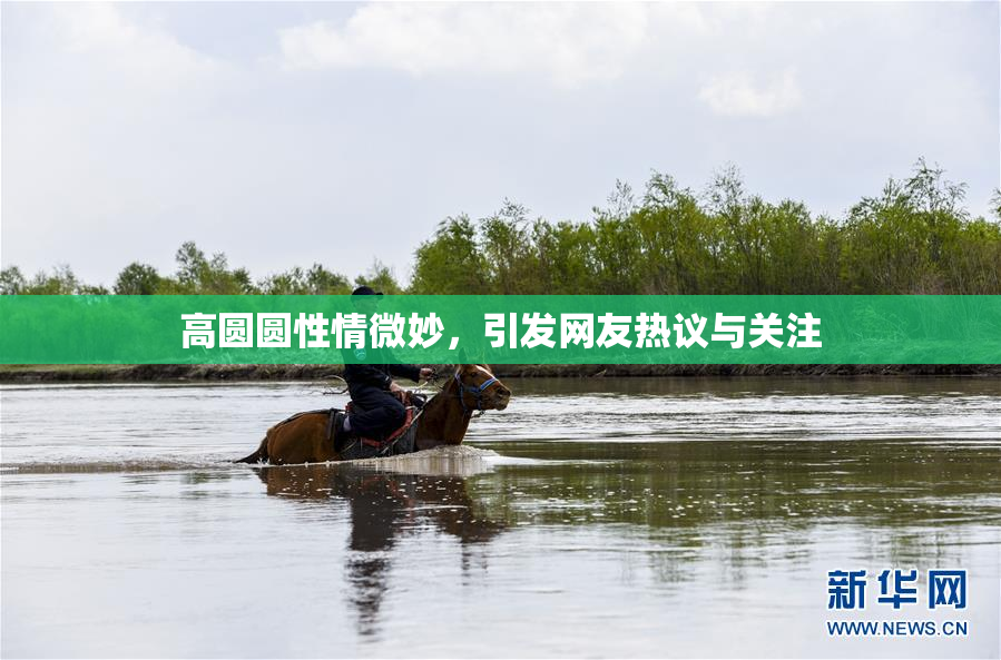 高圆圆性情微妙，引发网友热议与关注