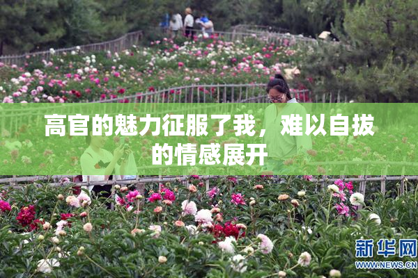 高官的魅力征服了我，难以自拔的情感展开