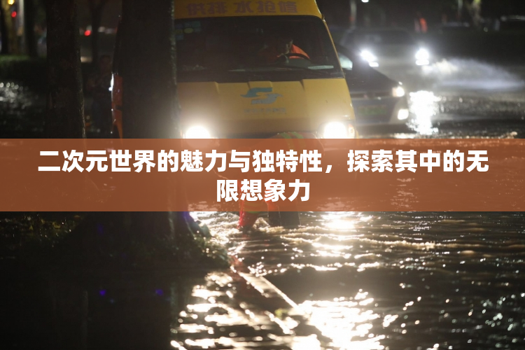 二次元世界的魅力与独特性，探索其中的无限想象力