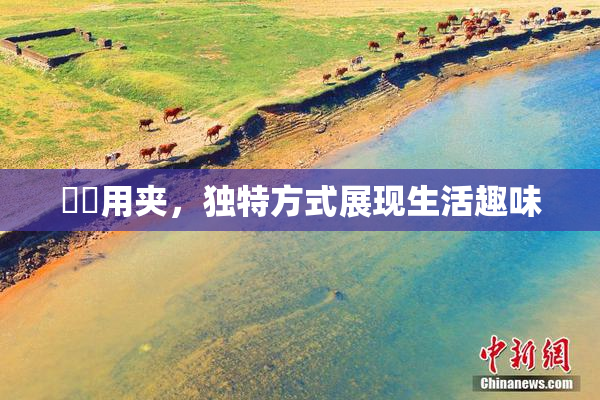 妺妺用夹，独特方式展现生活趣味
