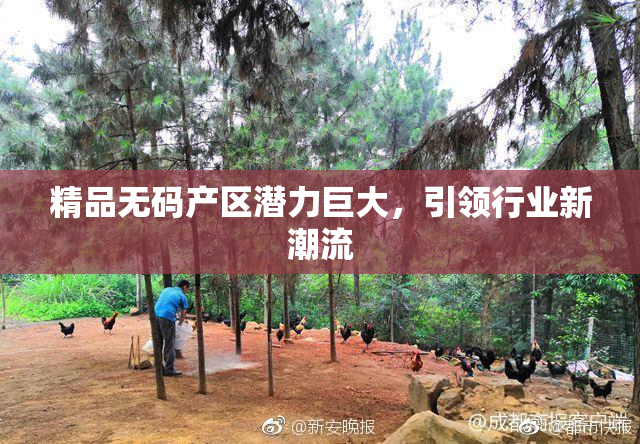 精品无码产区潜力巨大，引领行业新潮流