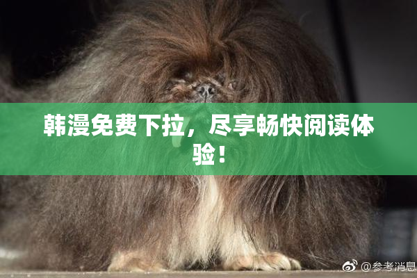 韩漫免费下拉，尽享畅快阅读体验！