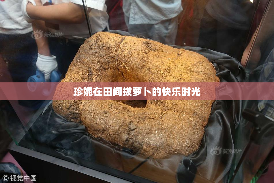 珍妮在田间拔萝卜的快乐时光