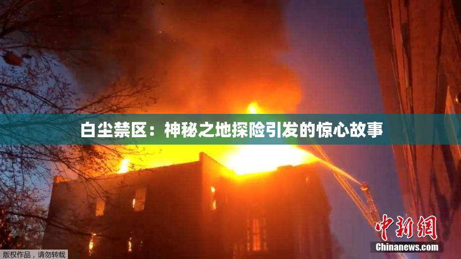 白尘禁区：神秘之地探险引发的惊心故事