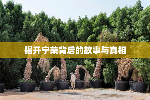 揭开宁荣背后的故事与真相