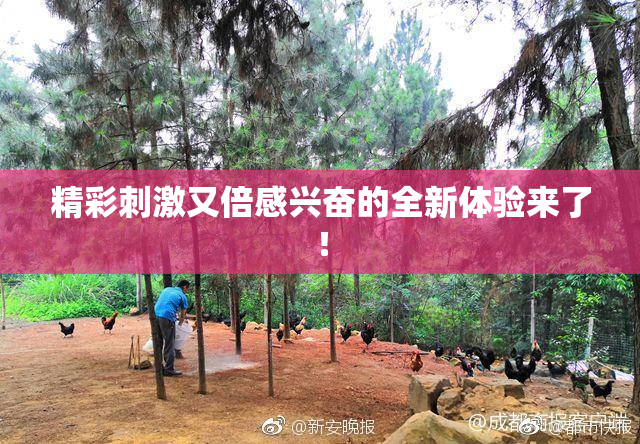 精彩刺激又倍感兴奋的全新体验来了！