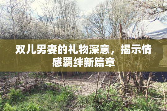双儿男妻的礼物深意，揭示情感羁绊新篇章