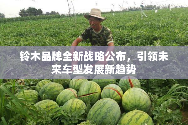 铃木品牌全新战略公布，引领未来车型发展新趋势