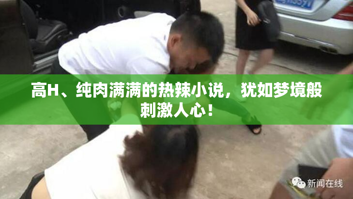 高H、纯肉满满的热辣小说，犹如梦境般刺激人心！