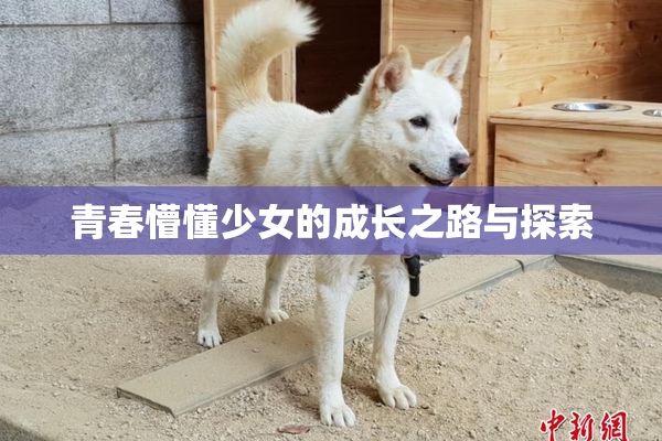 青春懵懂少女的成长之路与探索