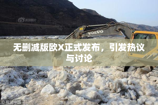 无删减版欧X正式发布，引发热议与讨论