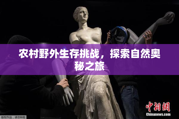 农村野外生存挑战，探索自然奥秘之旅