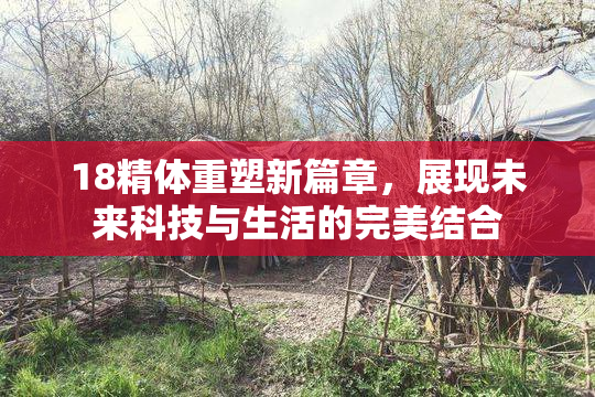 18精体重塑新篇章，展现未来科技与生活的完美结合
