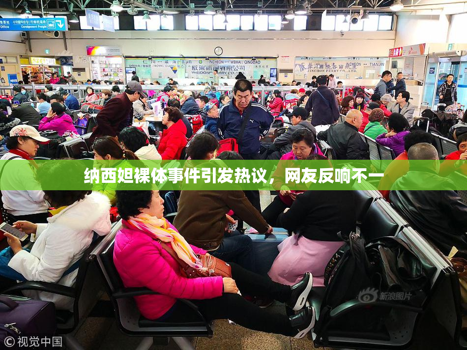 纳西妲裸体事件引发热议，网友反响不一
