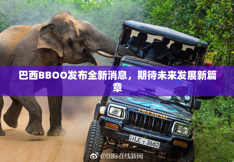巴西BBOO发布全新消息，期待未来发展新篇章