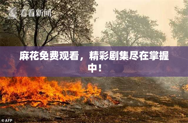 麻花免费观看，精彩剧集尽在掌握中！