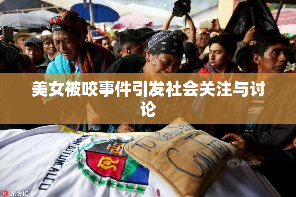 美女被咬事件引发社会关注与讨论
