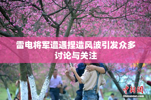 雷电将军遭遇捏造风波引发众多讨论与关注